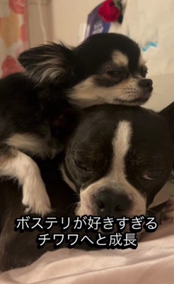 兄弟のような関係