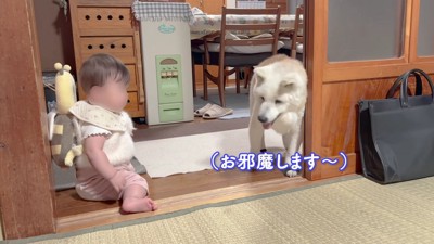 ちょっぴりオドオド