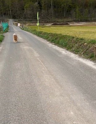 パパが1ヶ月半ぶりに帰宅