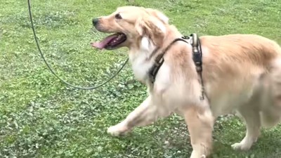 笑顔のアトムくん