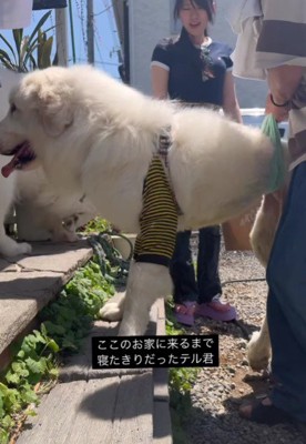 会いに行ってみると…