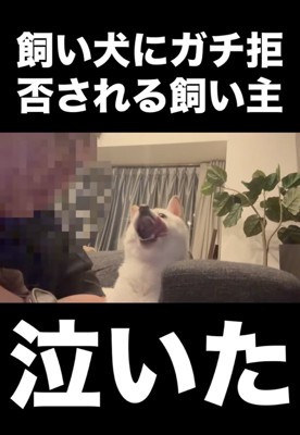 ましろちゃん、回避…