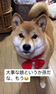 「心亜ちゃんもねんねだよ」