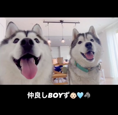 「こんにちは〜!」