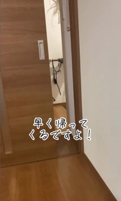 お兄ちゃんを引き止めるダンクくん9