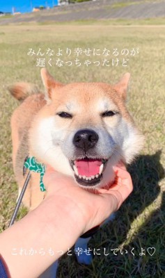 これからも幸せに