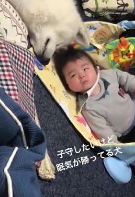 ついつい安心しちゃう