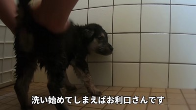 女の子を先にシャンプー