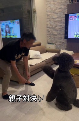 ご主人が突然相撲を始めた