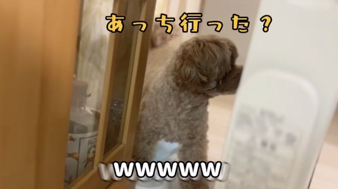 「そろそろ大丈夫かな」