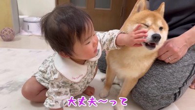 ほのちゃんが来ると…