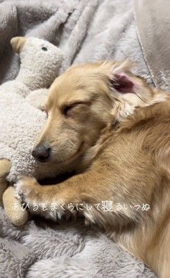 スヤスヤ眠るモナカくん