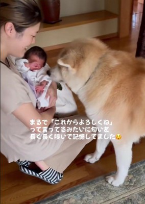 「うちは大所帯だよ」