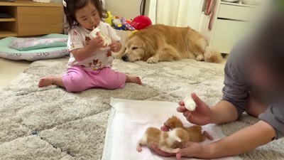 一緒にミルクを飲む一幕も♪