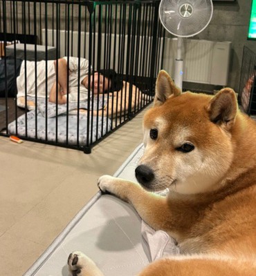 「あの人どうにかして？」