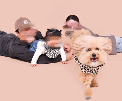 躍動感のあるポテチくん