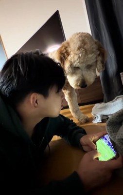 はうるくんに気づいたお兄ちゃん