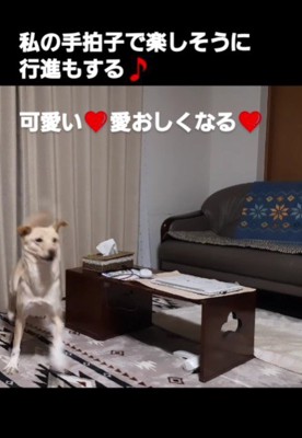 ご機嫌な行進も♪