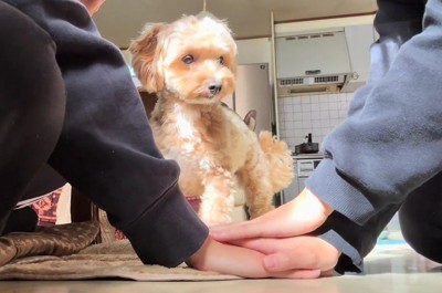 「こうするの?」