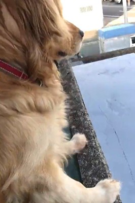 真剣な顔に豹変!!
