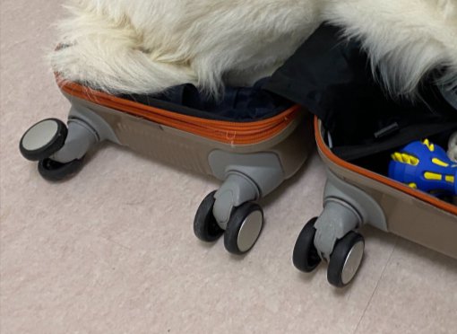荷造り