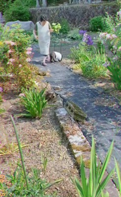 農作業の付き添い