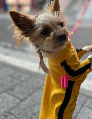 三つ編みで女の子らしく♡