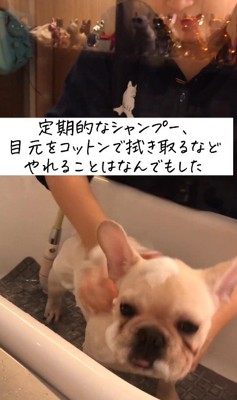 試行錯誤するも…