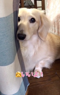 「いいよ」と伝えると…