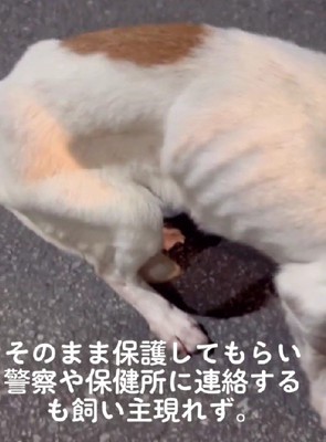 ガリガリの体に涙…