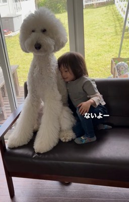 降参する男の子