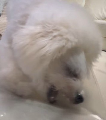 勢いがつきすぎて…