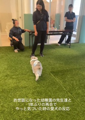 先生達に駆け寄る小型犬