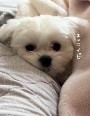 大満足なHaruちゃんでした