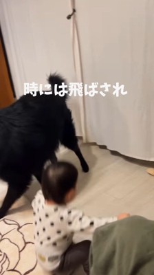 突き飛ばされることも…