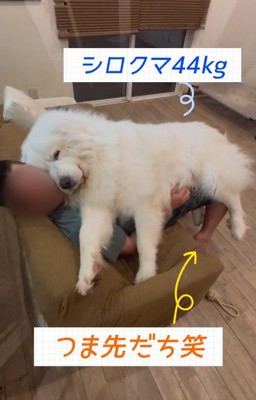 つま先立ちで支えるパパ