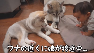 赤ちゃんが接近…！