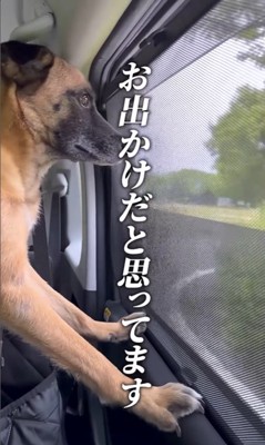 動物病院でビビりまくるアキちゃん2
