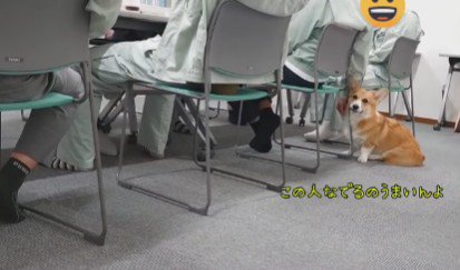 なでなでを催促♡