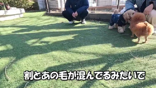 毛量が多くて…