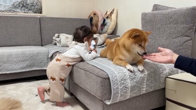 チャレンジする姿にホッコリ