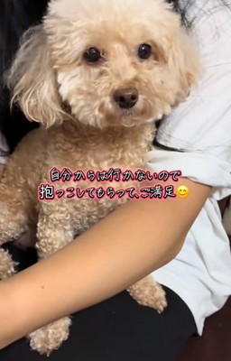 抱っこされるモカちゃん