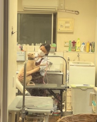 お姉さんに抱きつきながらカメラの方向を見る犬