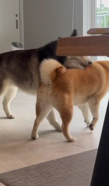 アタックされて完敗