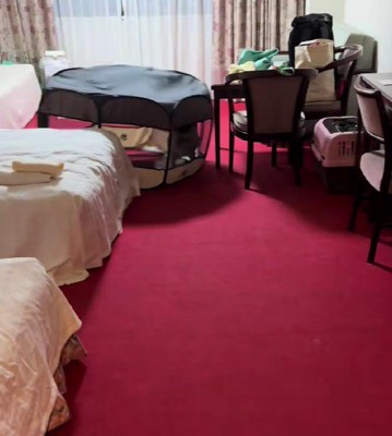 折り畳みサークルを購入