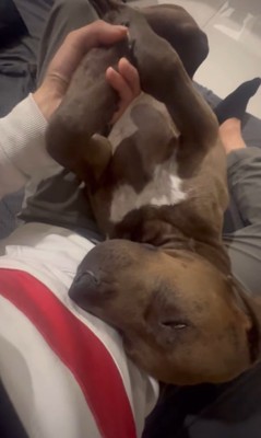 リバくんが2歳になるまで7