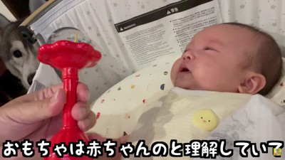 赤ちゃんのことが大好き！