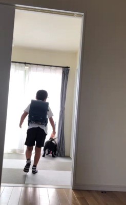 わんこが大好き♡