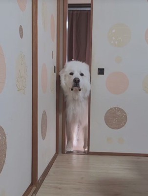 「ちょっといいかな…」