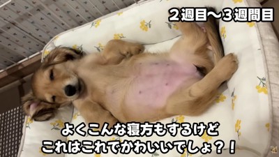 貫禄が見え隠れ!?